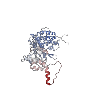 0760_6ks8_Z_v1-3
TRiC at 0.1 mM ADP-AlFx, Conformation 4, 0.1-C4