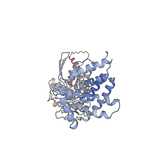 0760_6ks8_d_v1-3
TRiC at 0.1 mM ADP-AlFx, Conformation 4, 0.1-C4