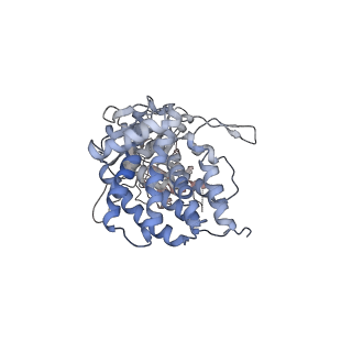 0760_6ks8_g_v1-3
TRiC at 0.1 mM ADP-AlFx, Conformation 4, 0.1-C4