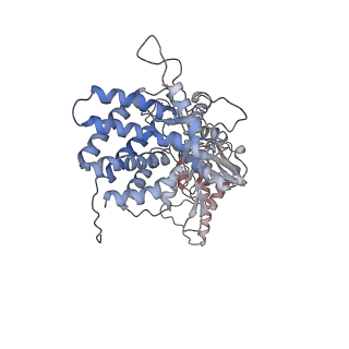 0760_6ks8_q_v1-3
TRiC at 0.1 mM ADP-AlFx, Conformation 4, 0.1-C4