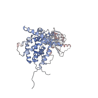 0760_6ks8_z_v1-3
TRiC at 0.1 mM ADP-AlFx, Conformation 4, 0.1-C4