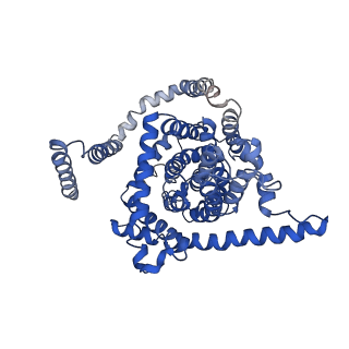 0775_6ksw_A_v1-0
Cryo-EM structure of the human concentrative nucleoside transporter CNT3