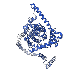 0775_6ksw_B_v1-0
Cryo-EM structure of the human concentrative nucleoside transporter CNT3