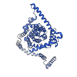 0775_6ksw_B_v1-1
Cryo-EM structure of the human concentrative nucleoside transporter CNT3