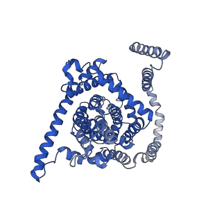 0775_6ksw_C_v1-0
Cryo-EM structure of the human concentrative nucleoside transporter CNT3