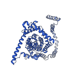 0775_6ksw_C_v1-1
Cryo-EM structure of the human concentrative nucleoside transporter CNT3