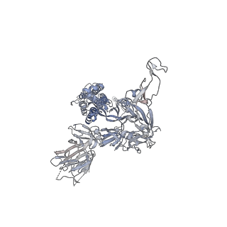 23016_7ks9_A_v1-2
Cryo-EM structure of prefusion SARS-CoV-2 spike glycoprotein in complex with 910-30 Fab