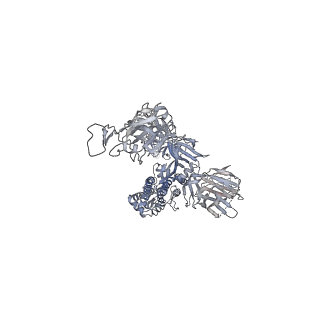 23016_7ks9_B_v1-2
Cryo-EM structure of prefusion SARS-CoV-2 spike glycoprotein in complex with 910-30 Fab