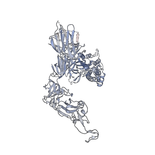 23016_7ks9_C_v1-2
Cryo-EM structure of prefusion SARS-CoV-2 spike glycoprotein in complex with 910-30 Fab