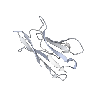 23016_7ks9_H_v1-2
Cryo-EM structure of prefusion SARS-CoV-2 spike glycoprotein in complex with 910-30 Fab