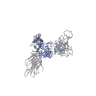 23018_7ksg_A_v1-1
SARS-CoV-2 spike in complex with nanobodies E
