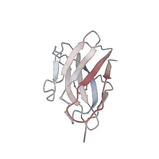 23018_7ksg_E_v1-1
SARS-CoV-2 spike in complex with nanobodies E