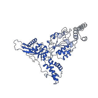 23019_7ksl_A_v1-0
Substrate-free human mitochondrial LONP1