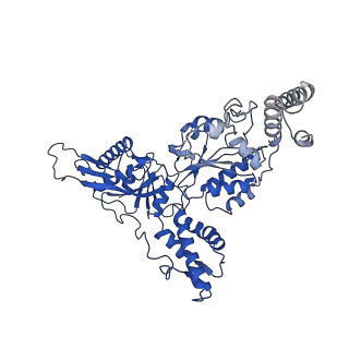 23019_7ksl_A_v2-1
Substrate-free human mitochondrial LONP1