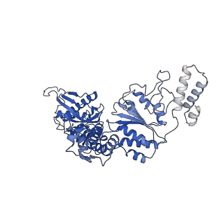 23019_7ksl_B_v1-0
Substrate-free human mitochondrial LONP1
