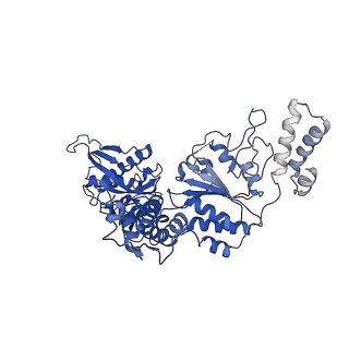 23019_7ksl_B_v2-1
Substrate-free human mitochondrial LONP1