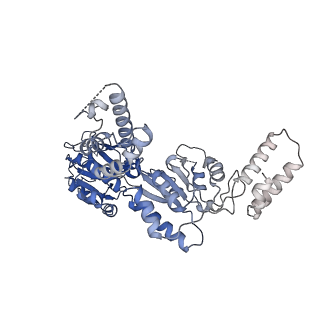 23019_7ksl_C_v1-0
Substrate-free human mitochondrial LONP1