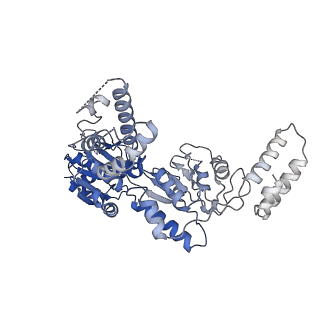 23019_7ksl_C_v2-1
Substrate-free human mitochondrial LONP1