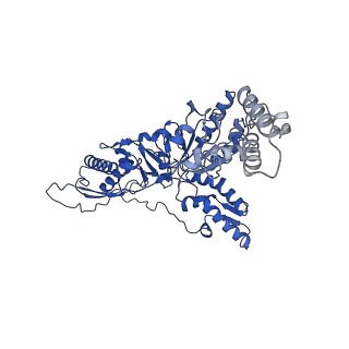 23019_7ksl_F_v1-0
Substrate-free human mitochondrial LONP1