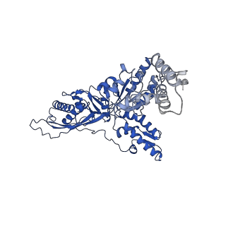 23019_7ksl_F_v2-1
Substrate-free human mitochondrial LONP1