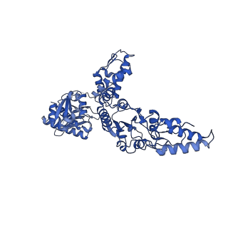 23020_7ksm_B_v1-0
Human mitochondrial LONP1 with endogenous substrate
