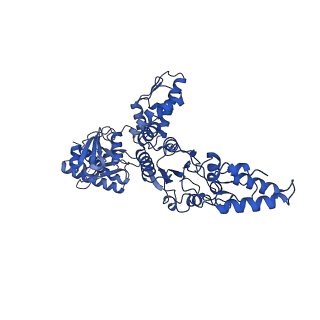 23020_7ksm_B_v2-1
Human mitochondrial LONP1 with endogenous substrate