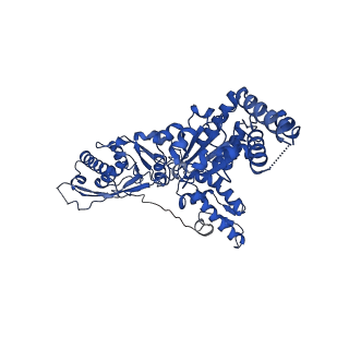 23020_7ksm_D_v1-0
Human mitochondrial LONP1 with endogenous substrate