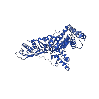23020_7ksm_D_v2-1
Human mitochondrial LONP1 with endogenous substrate