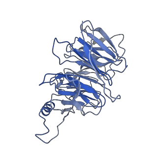 23021_7kso_B_v1-1
Cryo-EM structure of PRC2:EZH1-AEBP2-JARID2