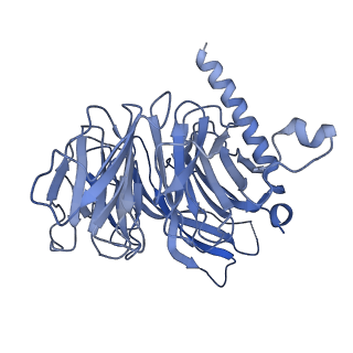 23021_7kso_D_v1-2
Cryo-EM structure of PRC2:EZH1-AEBP2-JARID2