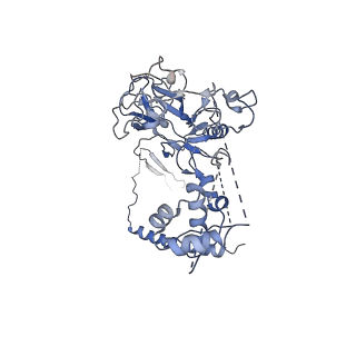 23024_7ksr_A_v1-1
PRC2:EZH1_A from a dimeric PRC2 bound to a nucleosome