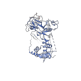 23024_7ksr_A_v1-2
PRC2:EZH1_A from a dimeric PRC2 bound to a nucleosome