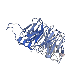 23024_7ksr_B_v1-2
PRC2:EZH1_A from a dimeric PRC2 bound to a nucleosome