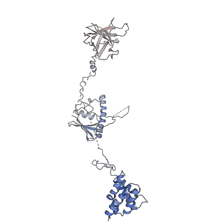 23024_7ksr_C_v1-1
PRC2:EZH1_A from a dimeric PRC2 bound to a nucleosome