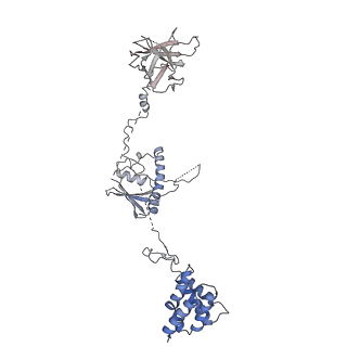 23024_7ksr_C_v1-2
PRC2:EZH1_A from a dimeric PRC2 bound to a nucleosome