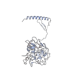 23025_7ktp_A_v1-1
PRC2:EZH1_B from a dimeric PRC2 bound to a nucleosome