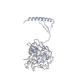 23025_7ktp_A_v1-2
PRC2:EZH1_B from a dimeric PRC2 bound to a nucleosome