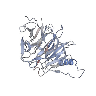 23025_7ktp_B_v1-1
PRC2:EZH1_B from a dimeric PRC2 bound to a nucleosome