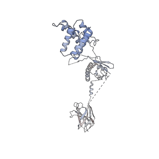 23025_7ktp_C_v1-1
PRC2:EZH1_B from a dimeric PRC2 bound to a nucleosome