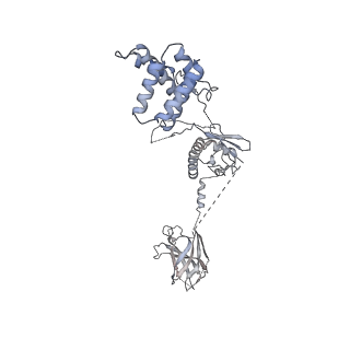 23025_7ktp_C_v1-2
PRC2:EZH1_B from a dimeric PRC2 bound to a nucleosome