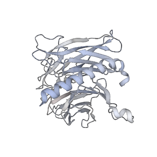 23025_7ktp_D_v1-2
PRC2:EZH1_B from a dimeric PRC2 bound to a nucleosome