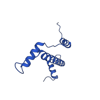 23026_7ktq_A_v1-1
Nucleosome from a dimeric PRC2 bound to a nucleosome