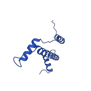 23026_7ktq_A_v1-2
Nucleosome from a dimeric PRC2 bound to a nucleosome