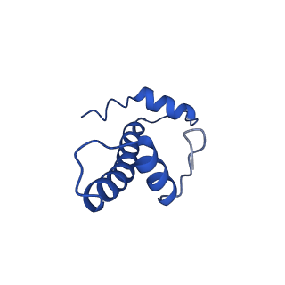 23026_7ktq_B_v1-1
Nucleosome from a dimeric PRC2 bound to a nucleosome