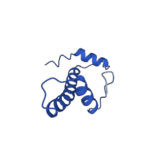 23026_7ktq_B_v1-2
Nucleosome from a dimeric PRC2 bound to a nucleosome