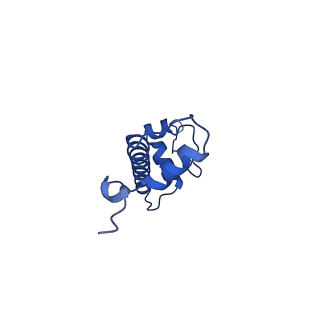 23026_7ktq_C_v1-1
Nucleosome from a dimeric PRC2 bound to a nucleosome