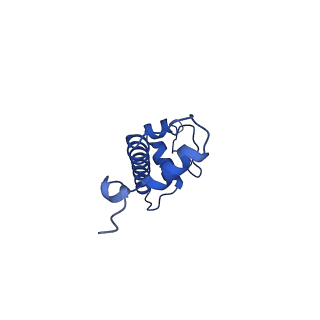 23026_7ktq_C_v1-2
Nucleosome from a dimeric PRC2 bound to a nucleosome