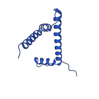 23026_7ktq_D_v1-1
Nucleosome from a dimeric PRC2 bound to a nucleosome