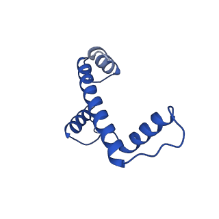 23026_7ktq_E_v1-2
Nucleosome from a dimeric PRC2 bound to a nucleosome