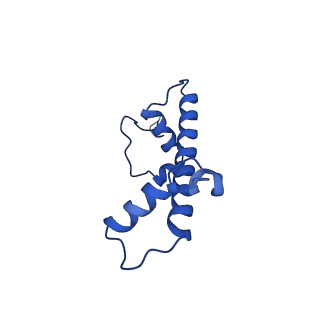 23026_7ktq_G_v1-1
Nucleosome from a dimeric PRC2 bound to a nucleosome
